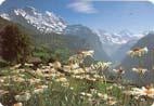 Suiza - Jungfrau