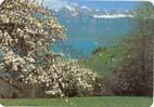 Suiza - Walensee