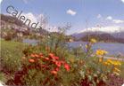 Suiza - Saint Moritz