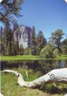 EEUU - Parque Yosemite