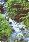 Cascada