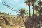 2009 - EDIJAR - 43