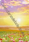 Amapolas