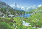 Suiza