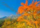 Paisaje de Japón
