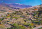 Cáceres - Valle del Jerte