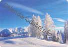 Alaska - Paisaje nevado