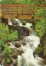 USA - Wahkeena Falls