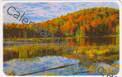 USA - Vermont - Arboleda
