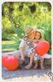 2013 - BO Tarjetas Credito - 24