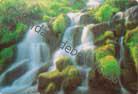 Catarata
