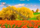 Alemania