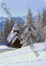 Suiza - Paisaje Nevado