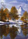 Paisaje alpino