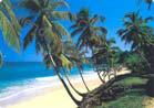 Republica Dominicana - Maria Trinidad