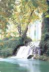 Zaragoza - Monasterio de Piedra
