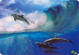 Delfines