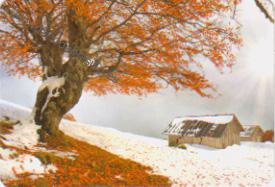 Serbia - Montes Carpatos