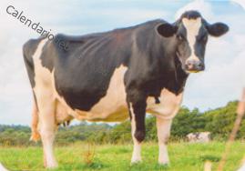 2022 - EDIJAR - 415