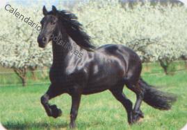 2022 - EDIJAR - 416