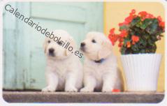 2018 - CB Tarjetas Credito - 4