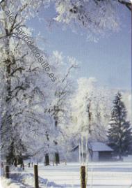 Paisaje invernal