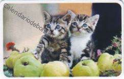 2019 - CB Tarjetas Credito - 4