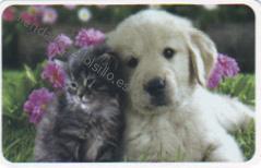 2019 - CB Tarjetas Credito - 4