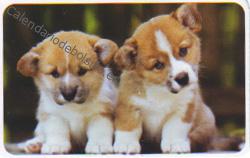 2020 - CB Tarjetas Credito - 4