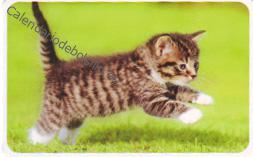 2020 - CB Tarjetas Credito - 4