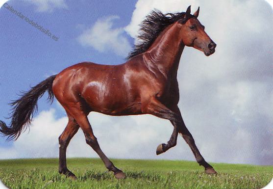 2022 - EDIJAR - 614