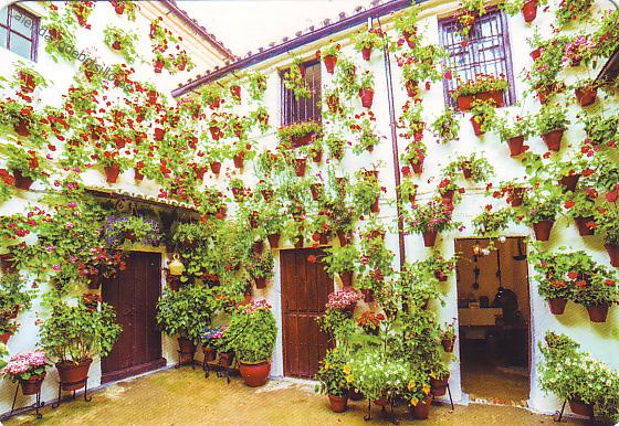 Códoba