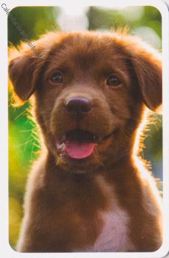 2022 - CB Tarjetas Credito - 4