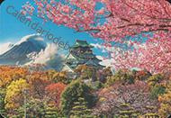 Fuji - Castillo de Osaka