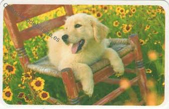 2024 - CB Tarjetas Credito - 4