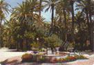 Alche (Alicante) - Jardin del Parque