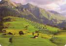 Suiza - Pasto Alpino