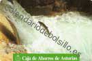 Fauna Asturiana - El Salmon