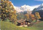 Suiza - Grindel