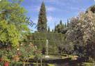 Granada - Jardines del Generalife