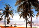 Kenia - Playa de Mombassa