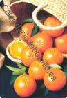 Bodegon naranjas