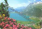 Suiza - Lago Maggiore
