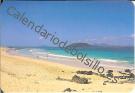 Playas de Corralejo - Fuerteventura